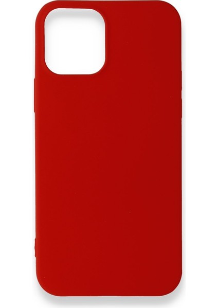 iPhone 12 Mini Kılıf Esnek Yapılı Ince Standart Ruber Kapak Ryc/first