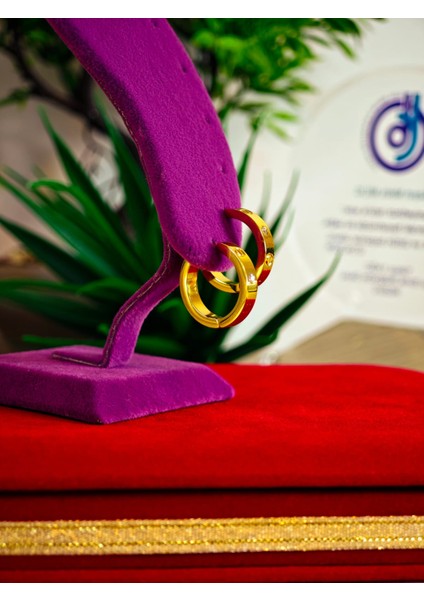 Çelik 22 Ayar Altın Kaplama Renk Atmaz Küpe fırsatları