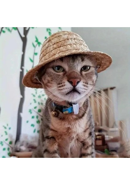Komik Evcil Kedi Hasır Şapkası