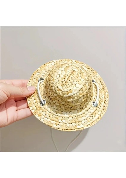 Komik Evcil Kedi Hasır Şapkası modelleri