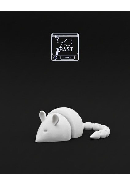 Bast Tasarım 3D Yazıcı Hareketli Eklemli Profesör T-Rex Oyuncak Figür