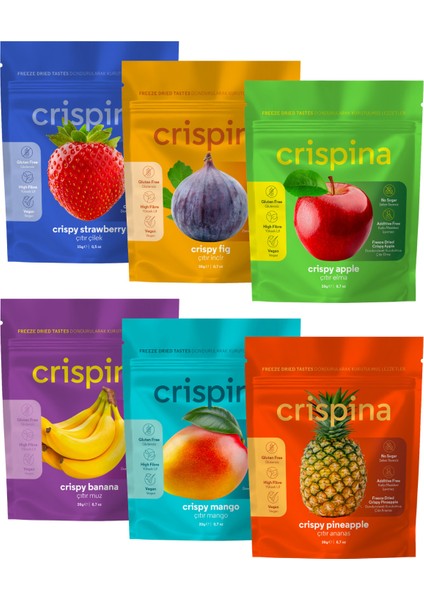 Dondurularak Kurutulmuş Freeze Dried Meyve Kurusu Başlangıç Paketi 6'lı