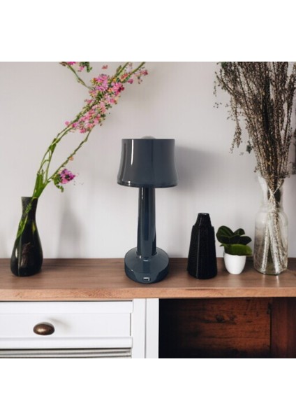 Dokunmatik Metal Masa Lambası modelleri