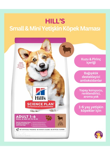 Science Plan Small & Mini Adult Kuzu Etli ve Pirinçli Yetişkin Köpek Maması 1.5 kg fiyatları