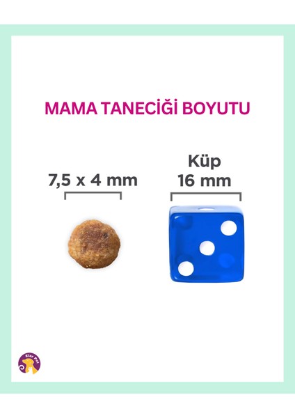 Science Plan Small & Mini Adult Kuzu Etli ve Pirinçli Yetişkin Köpek Maması 1.5 kg fırsatları