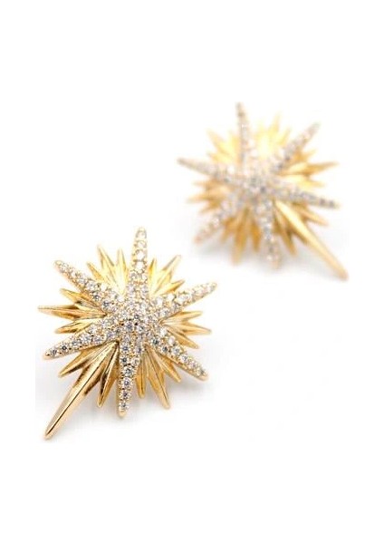 Kuzey Yıldızı Küpe - Rose