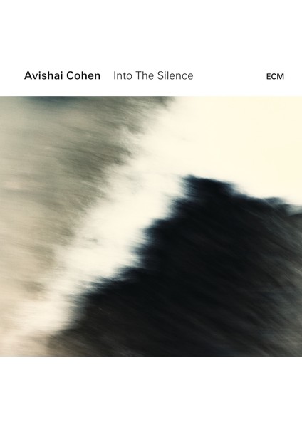 Avıshaı Cohen-Into The Sılence - Plak modelleri