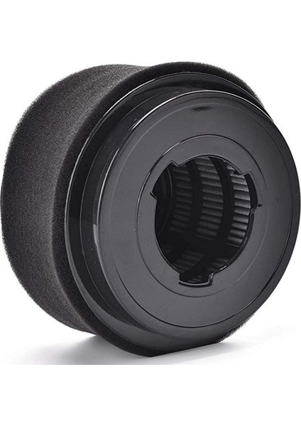 Bissell Style 12 ile Uyumlu Hepa Filtre Yedek Parçaları (Yurt Dışından) indirimleri