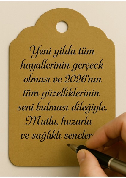 20 Adet Farklı Kraft Paketleme Kartı Yılbaşı Temalı Delikli Etiket Sevimli Dostlar (Sadece Etiket) modelleri