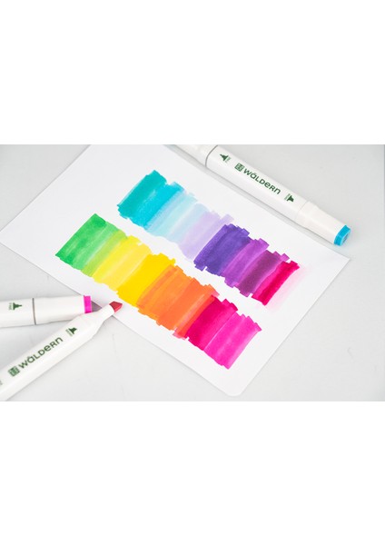 Premium 48'li Çift Taraflı Kalem Seti + Plastik Taşıma ve Korum Çantalı fiyatları