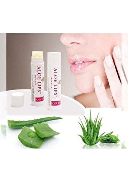 Aloe Lips Jojoba Özlü Dudak Bakım Balmı 4.25 g Nemlendirici Etki