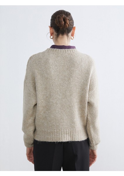 Yeni Sezon Bisiklet Yaka Kadın Triko Kazak fırsatları