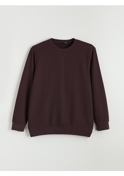 Yeni Sezon Bisiklet Yaka Erkek Sweatshirt