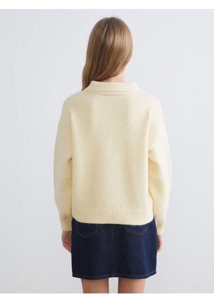 Yeni Sezon Polo Yaka Oversize Kadın Triko Kazak fırsatları