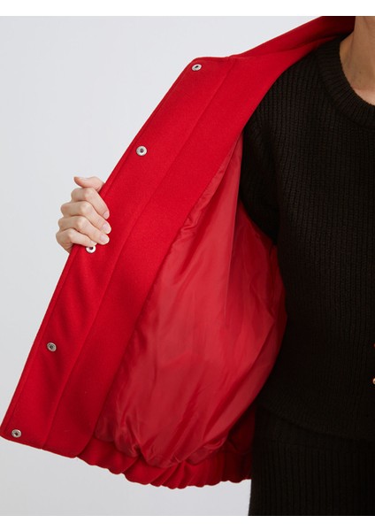 Yeni Sezon Polo Yaka Kadın Bomber Kaşe Ceket fırsatları