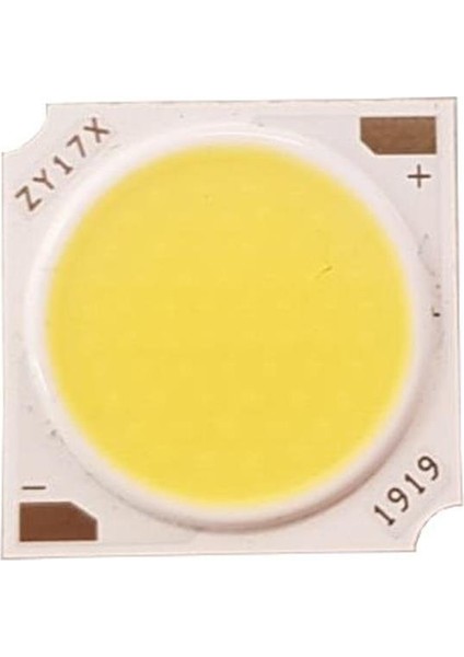 PM-27090 30W 45-51V 19X19MM 4000K Gün Işığı Cob LED