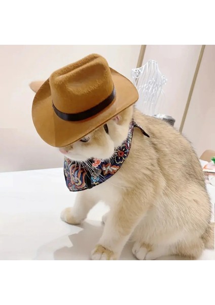 Komik Evcil Kedi Kovboy Şapkası modelleri