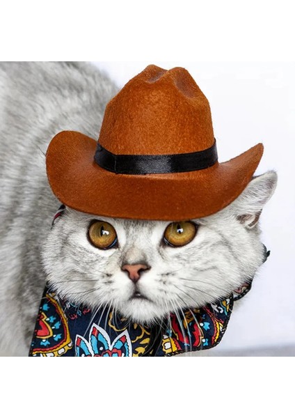 Komik Evcil Kedi Kovboy Şapkası fırsatları