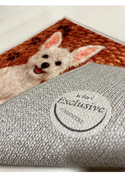 Jüt Görünümlü Sevimli Köpek Temalı Kapıönü Paspası (60X40) fiyatları