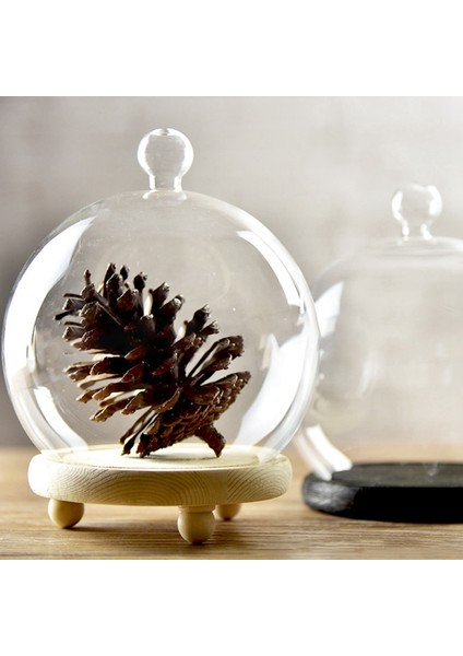 Ahşap Taban ile Berrak Cam Ekran Kubbesi Korunmuş Çiçek Cam Örtü Antika El Sanatları Toz Kapağı Ürün Ekran Kapağı (Yurt Dışından) modelleri