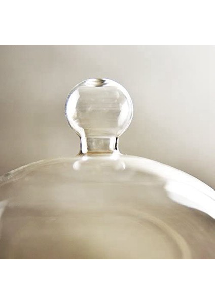 Ahşap Taban ile Berrak Cam Ekran Kubbesi Korunmuş Çiçek Cam Örtü Antika El Sanatları Toz Kapağı Ürün Ekran Kapağı (Yurt Dışından) indirimleri