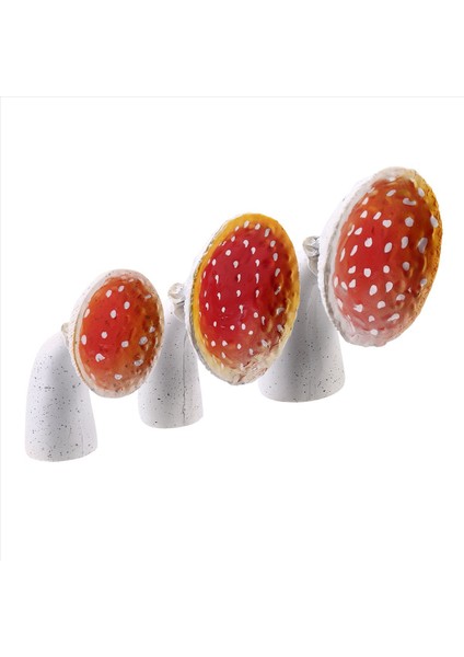 3pcs Asılı Raf Duvar Yüzen Raf Asılı Dekor Rafları Yatak Odası Oturma Odası Banyo ve Daha Fazlası (Yurt Dışından) indirimleri