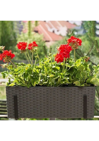 3 Çift Kanca Oluk Bitki Potu Asılı Kancalar Ray Balkon Ekici Tutucu Braketler Demir Kancalar Lik Ayarlanabilir Kanca -S (Yurt Dışından) fırsatları