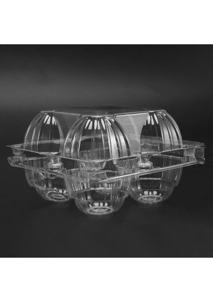 100PCS Plastik Yumurta Kartonları Toplu Açık Tavuk Yumurta Tepsisi Tutucu Aile Mera Tavuk Çiftliği Iş Pazarı- 4 Izgara (Yurt Dışından) indirimleri