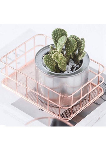 2x Metal Depolama Sepeti Depolama Kutusu Demir Izgara Tepsi Net Sepet Depolama Kutuları Depolama Sepeti Gül Altın Meyve (Yurt Dışından) indirimleri