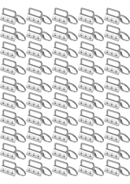 50PCS Anahtar Fob Donanım Bölünmüş Halkalar Set Kelepçesi Kişileri Için Kuyruk Klipsleri Kişme Kişisi Anahtarlık Dıy Aracı Halka (Yurt Dışından)