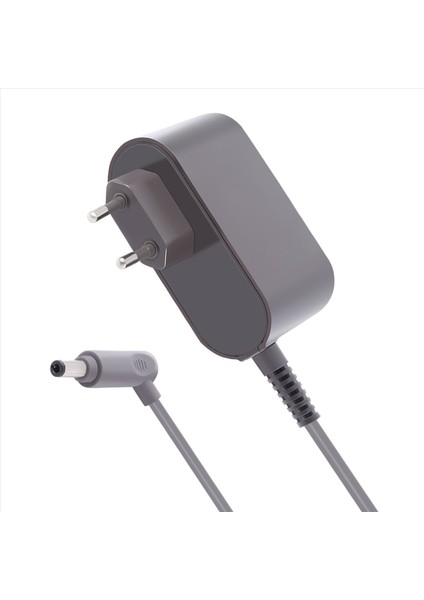 Vakum Süpürge Güç Adaptörü Robot Dyson V6 V7 V8 DC58 DC59 DC61 DC62 DC74 Ab Fişi (Yurt Dışından)