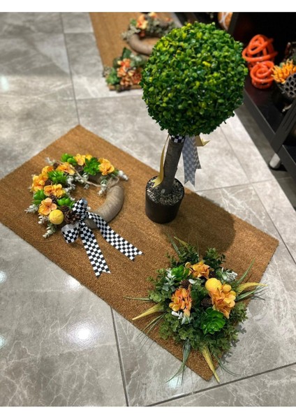 Kapı Önü Paspas Set No:2