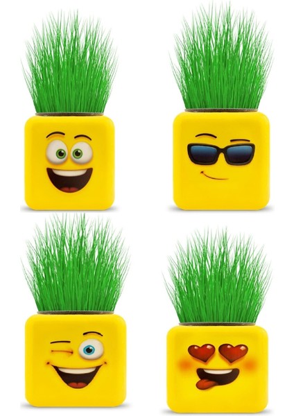 Çimoji 4 Figürlü Emoji Küp Çim Adam