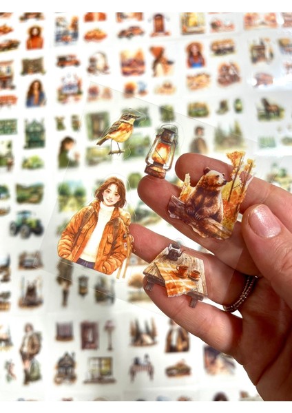 Mevsimler Serisi Sonbahar Temalı 4 Bölüm 100 Yaprak 450 Adet Kutu Sticker Seti/etiket/çıkartma fırsatları