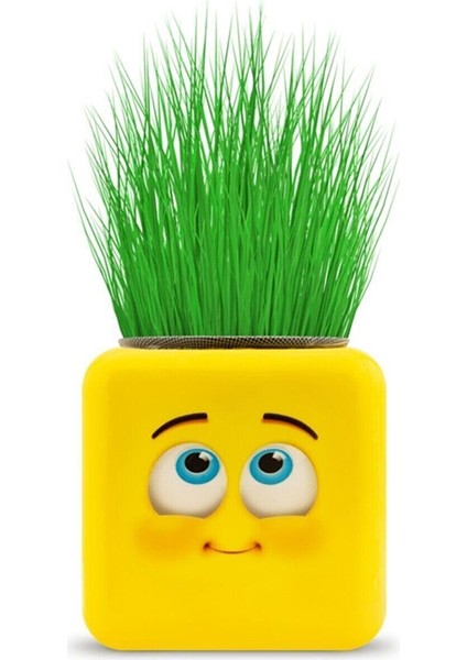 Çimoji 4 Figürlü Emoji Küp Çim Adam fırsatları