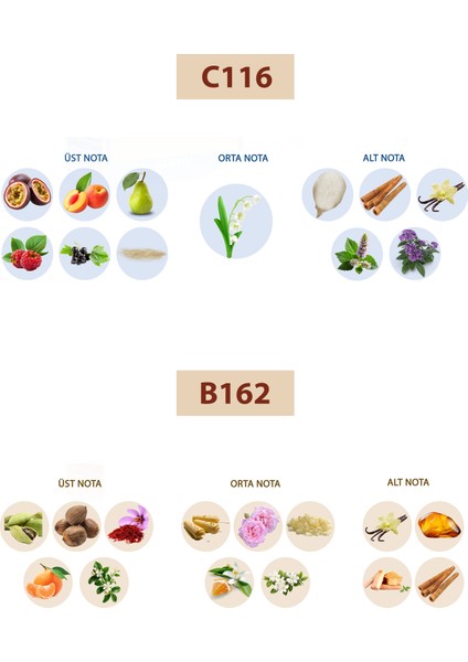 Bacera C116 Fresh Unisex Parfüm 50ML Edp B162 Woody Erkek Parfüm 50ML Edp fiyatları