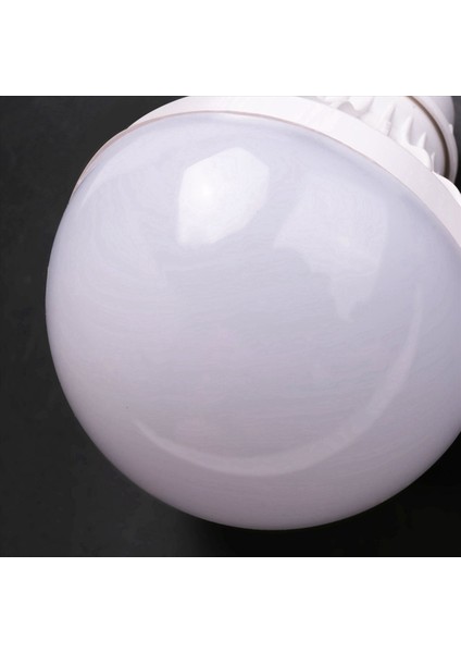 6x E27 12W LED Acil Durum Ampul Kamp Avcılık Açık Lambalar Işık Dc 12V (Yurt Dışından)