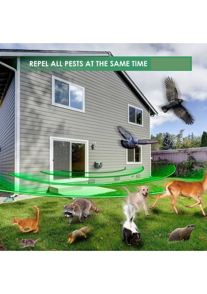 Ultrasonik Açık Hayvan Tahrikli Flaş LED Işık Kovucu Kemirgen Cihazı Kemirgen Geyiği Kedi Köpek Tilki Fare Kuş Skunk Ayı-Eu Fiş Için Uzaktan Kumanda (Yurt Dışından) indirimleri