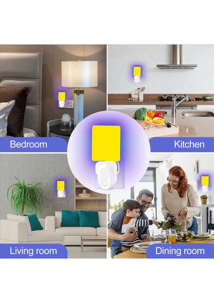 2x Elektrikli Böcek Tuzağı Kiti Meyve Sineği Uçan Böcek Sivrisinek Güveler Abd Fişleri Için Tuzak Tuzakları (Yurt Dışından) fırsatları