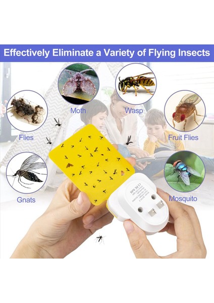 2x Elektrikli Böcek Tuzağı Kiti Meyve Sineği Uçan Böcek Sivrisinek Güveler Abd Fişleri Için Tuzak Tuzakları (Yurt Dışından) indirimleri