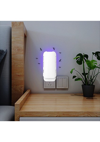 Kapalı Uçan Böcek Tuzağı - Verimli Sinek Gnat ve Meyve Sinek Kontrolü Dolumlar Beyaz Abd Fişini Içerir (Yurt Dışından) modelleri