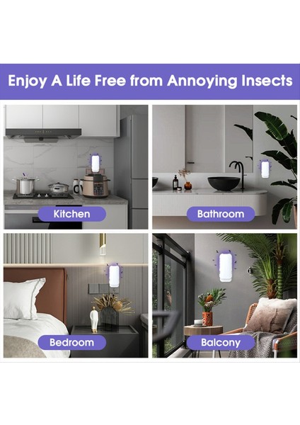 Kapalı Uçan Böcek Tuzağı - Verimli Sinek Gnat ve Meyve Sinek Kontrolü Dolumlar Beyaz Abd Fişini Içerir (Yurt Dışından) indirimleri