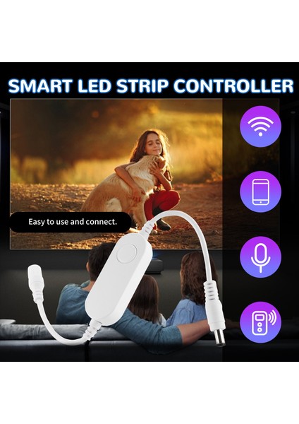 Zigbee DC5V 12V 24V 5050 Rgb Tek Akıllı LED Strip Denetleyici Uygulaması/ses Kontrolü Yankı Plus/smartthings (Yurt Dışından) fırsatları