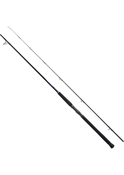 Currentsniper Bb Shore Jigging 290 cm Max. 65 gr Shore Jig Kamışı