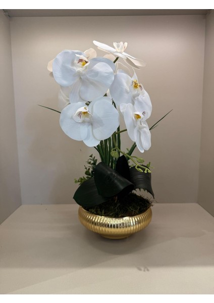 Yapay Orkideli Küçük Boy Çizgili Yassı Vazo No:2