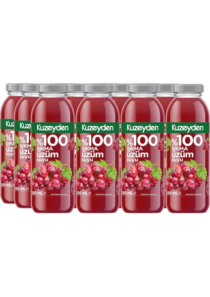 KUZEYDEN%100 Sıkma Üzüm Suyu 12X250ML