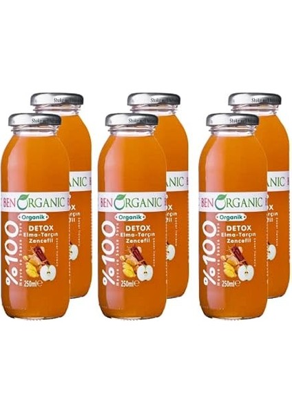 Benorganic Detox Elma Tarçın Zencefil Suyu 250 ml Cam Şişe modelleri