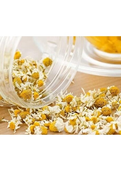 Beta Papatya Çiçeği 50 gr