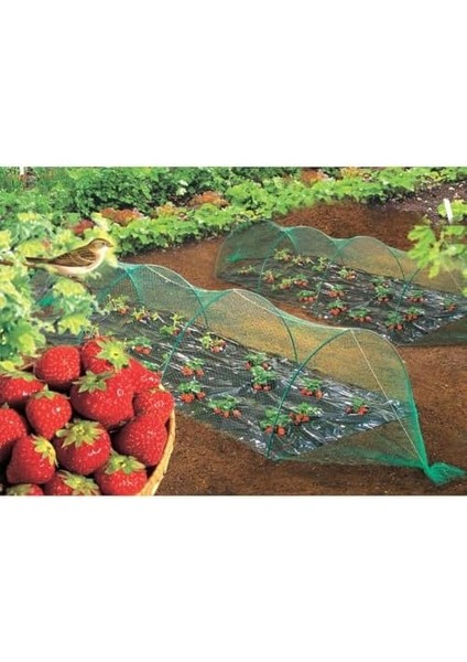 120018 Bırdnet Uv Filtreli Kuştan Koruma Ağı Paketli (Pp), 8X10 M 18X18 mm fiyatları