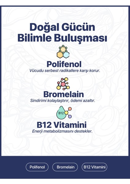Polifenol Bromelain - 30 Kapsül fiyatları